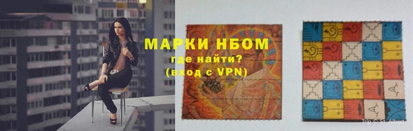 мдпв Богородицк