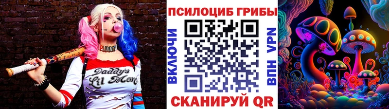 Галлюциногенные грибы мицелий  omg ссылка  Кириллов 