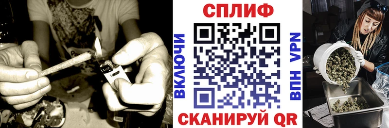 ссылка на мегу зеркало  Кириллов  Канабис White Widow 